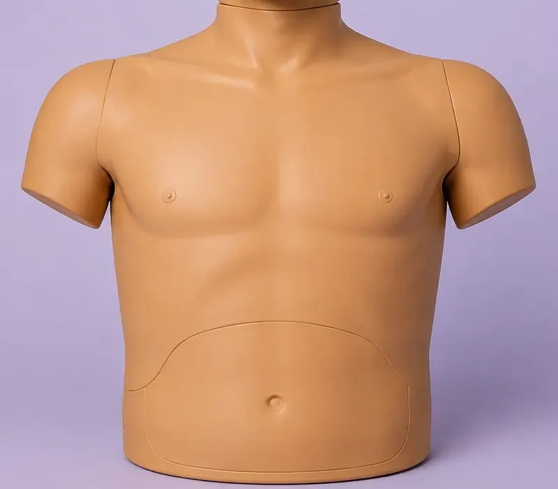Generated photograph of an adult training manikin seen from the front, without AED pads. Numbered labels identify general placement landmarks.