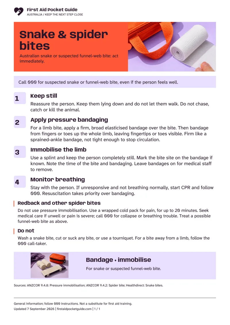 Actual A4 document preview: Snake & spider bites. The full text follows below.